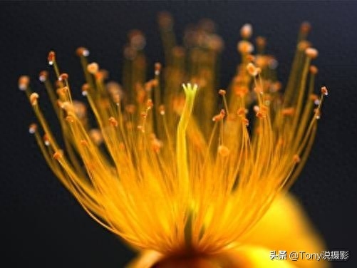 iso是什么_是iso審核有哪些內(nèi)容_是iso還是ios